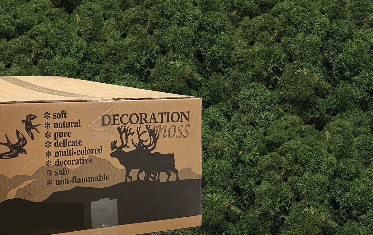Rendiermos Midden groen 3 kilo voor decoraties, schilderijen en mos wanden