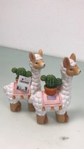 Tuinbeeld - Twee stuks - Lama