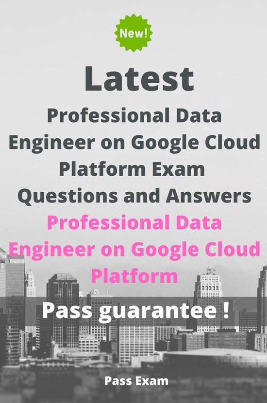 Training Professional-Data-Engineer Kit