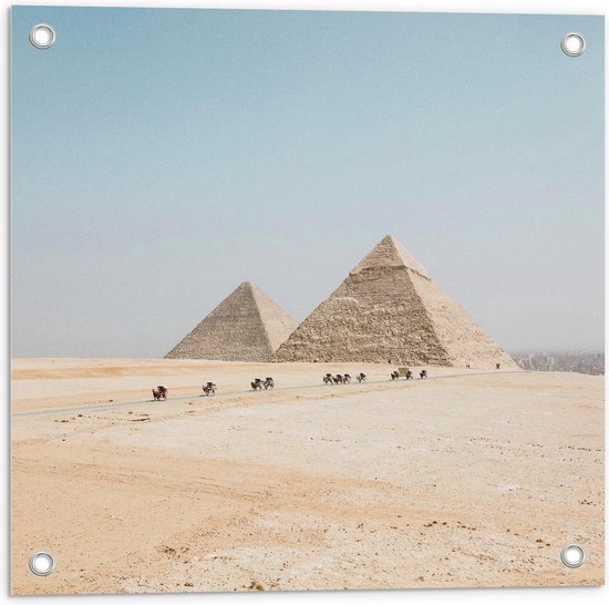 Tuinposter – Piramides met Kamelen in Egypte - 50x50cm Foto op Tuinposter  (wanddecoratie voor buiten en binnen)
