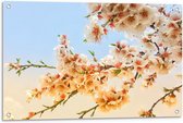 Tuinposter – Witte Bloementakken - 90x60cm Foto op Tuinposter  (wanddecoratie voor buiten en binnen)