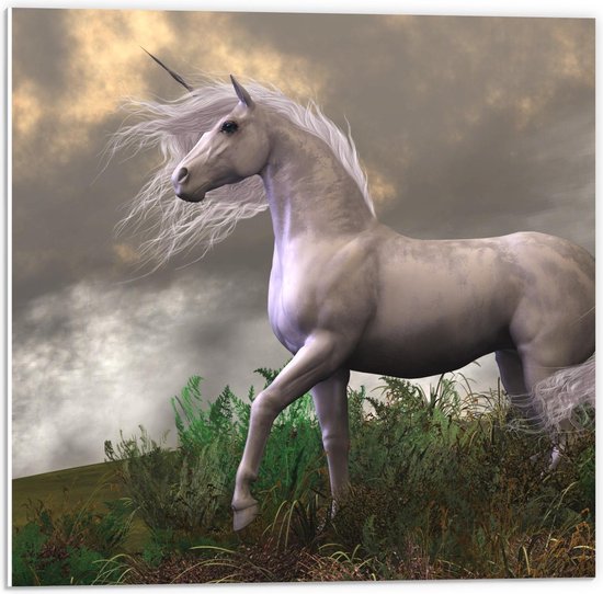 Forex - Witte Unicorn op Berg - 50x50cm Foto op Forex