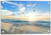 Tuinposter – Blauwe Zee met Zon en Vogels - 60x40cm Foto op Tuinposter  (wanddecoratie voor buiten en binnen)