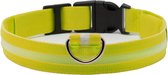 Led halsband - Lichtgevend - Veiligheid - Hond - Kat - Geel - L - Pixypet