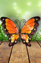 Wall Butterfly Orange 26x35cm