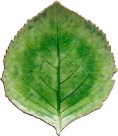 Costa Nova Riviera Tomato Groen Bord Hydrangeablad - Aardewerk - 22cm -  6 stuks