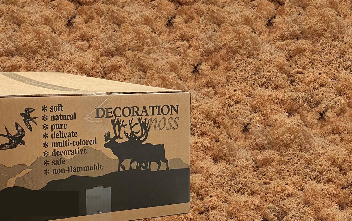 MosBiz Rendiermos Peach 3 kilo voor decoraties, schilderijen en mos wanden
