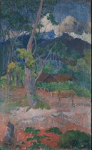 Paul Gauguin, Landschap met een paard, 1899 op canvas, afmetingen van dit schilderij zijn 45 X 100 CM