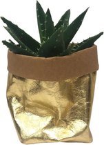 de Zaktus - Aloe Mitriformis - cactus - UASHMAMA® Paperbag Goud - Maat M
