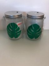 Glazen planten potten met verlichting op batterij - set van 2 stuks