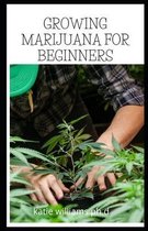 Growing Marijuana for Beginners