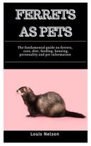 Ferrets As Pets