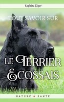 Tout Savoir Sur le Terrier Ecossais