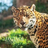 Jaguar Calendar 2021