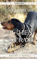 Tout Savoir Sur Le Chien Courant Grec