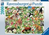 Ravensburger Selva Jeu de puzzle 2000 pièce(s) Animaux