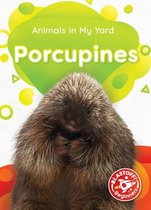 Animals in My Yard- Porcupines