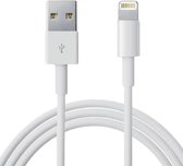 Apple Lightning USB kabel 1m voor iPhone & iPad - 1 meter