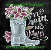 Lenks Diamond painting no rain, no flowers 40 X 50cm ronde steentjes full paint Diamond Paint 3356NC