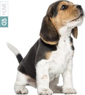 Muursticker Beagle pup