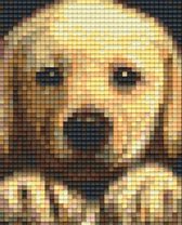 Pixelhobby geschenkverpakking - Goldenretriever Puppy