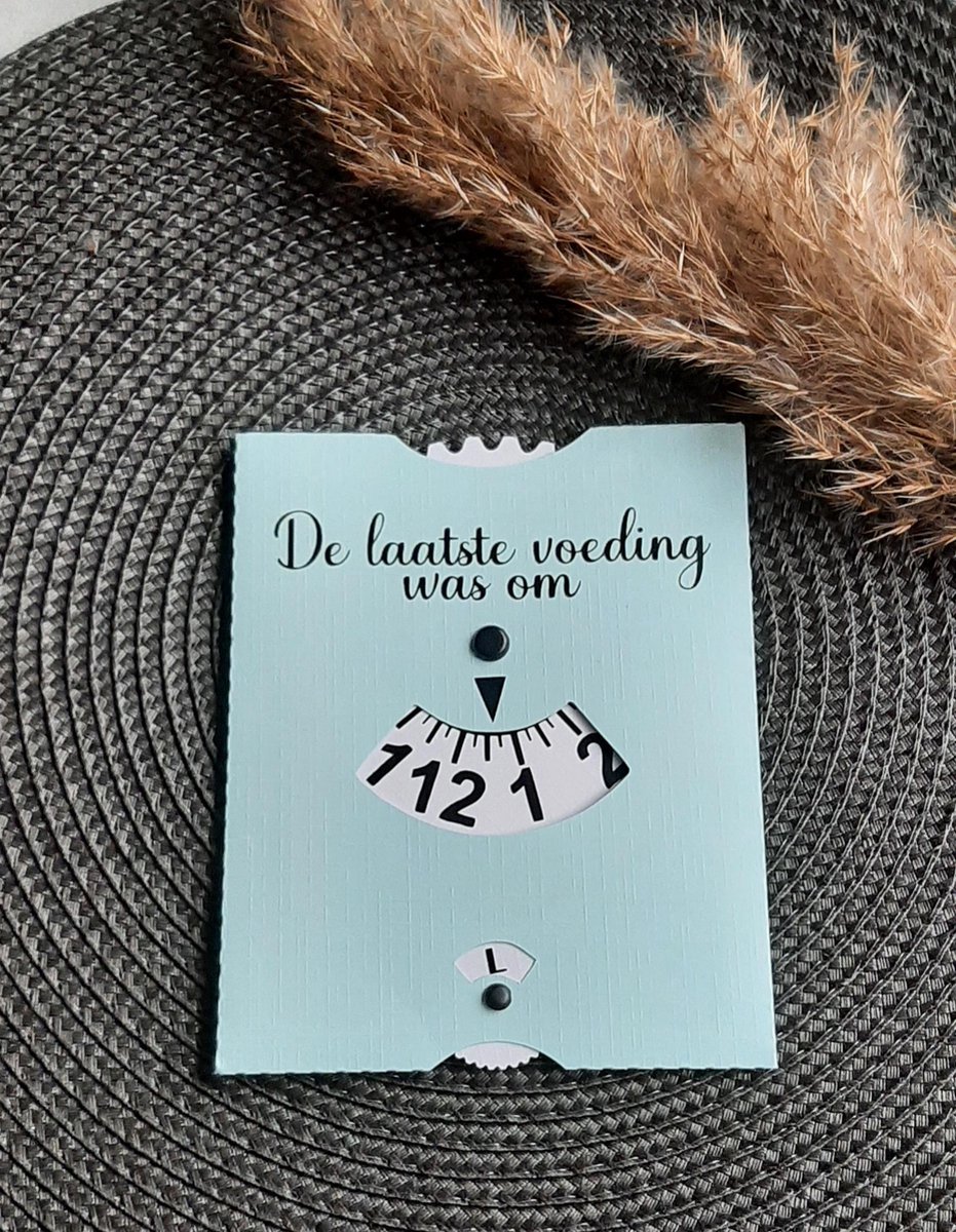 Goedkoopste Mint11 - Voedingskaart pastel blauw - Babyvoeding accessoires - kraamcadeau - kraamkado - baby benodigdheden - voedingsschijf - parkeerschijf