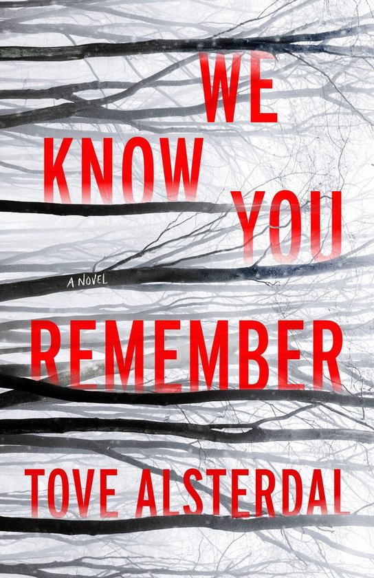The High Coast Series 1 - We Know You Remember - cover