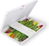 Bloomgift | Gemengde tulpen | Brievenbus tulpen | Vrolijk brievenbus cadeau