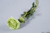 Zijden bloem - Ranonkel - groen - 50cm