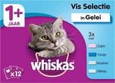 Whiskas 1+ Vis In Gelei Maaltijdzakjes - Kattenvoer - 12x100 g