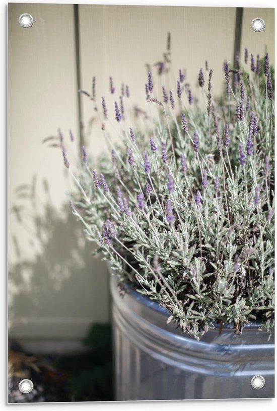 Tuinposter – Paars Lavendelbloemen in Zilveren Pot - 40x60cm Foto op Tuinposter  (wanddecoratie voor buiten en binnen)