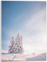 Forex - Besneeuwde Bomen onder Stralende Lucht - 30x40cm Foto op Forex