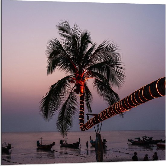 Dibond - Lampjes om Palmboom boven het Water - 80x80cm Foto op Aluminium (Met Ophangsysteem)