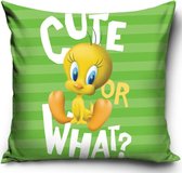 Carbotex Tweety - Sierkussen Kussen 40 x 40 cm inclusief vulling