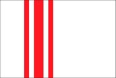 Vlag gemeente Oisterwijk 70x100 cm