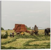 Dibond - Mensen met Paarden Werkend op het land - 50x50cm Foto op Aluminium (Met Ophangsysteem)