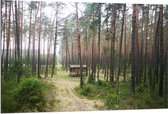 Dibond - Houten Hutje in het Bos - 120x80cm Foto op Aluminium (Met Ophangsysteem)