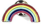 Regenboog Pin 1,1 x 2,5 cm