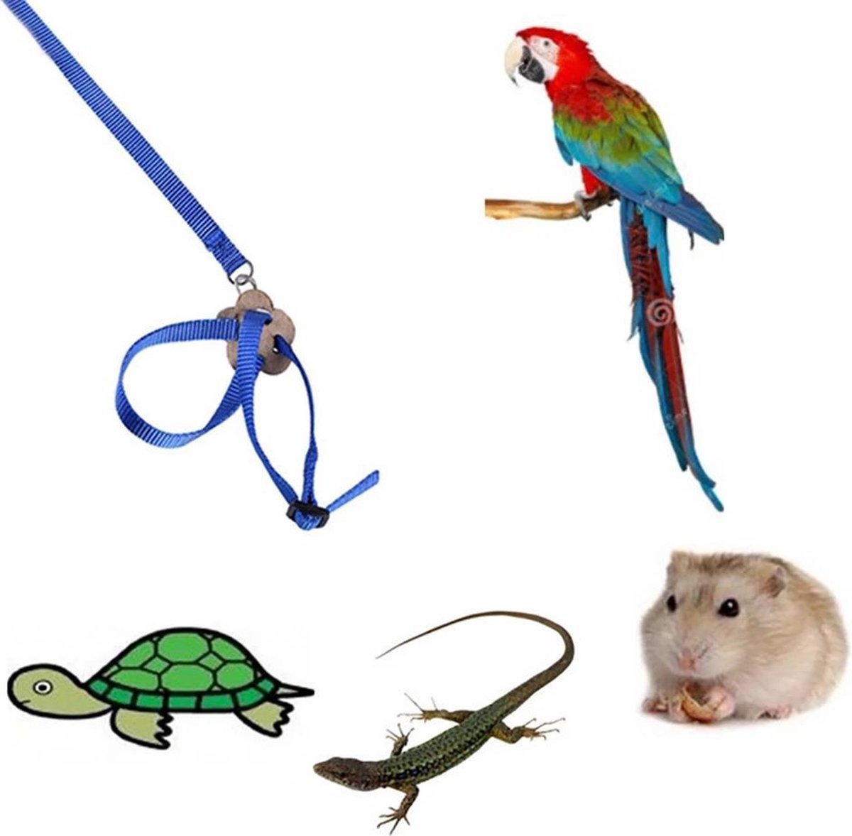 Vogel harnas - Tuigje voor parkiet, kaketoe of kleine papegaai - Vlieg harnas - Looptuigje -  Vogeltuigje - Blauw - Merkloos