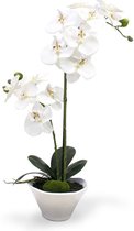 Phalaenopsis Orchidee kunstplant 50cm x2 in schaal