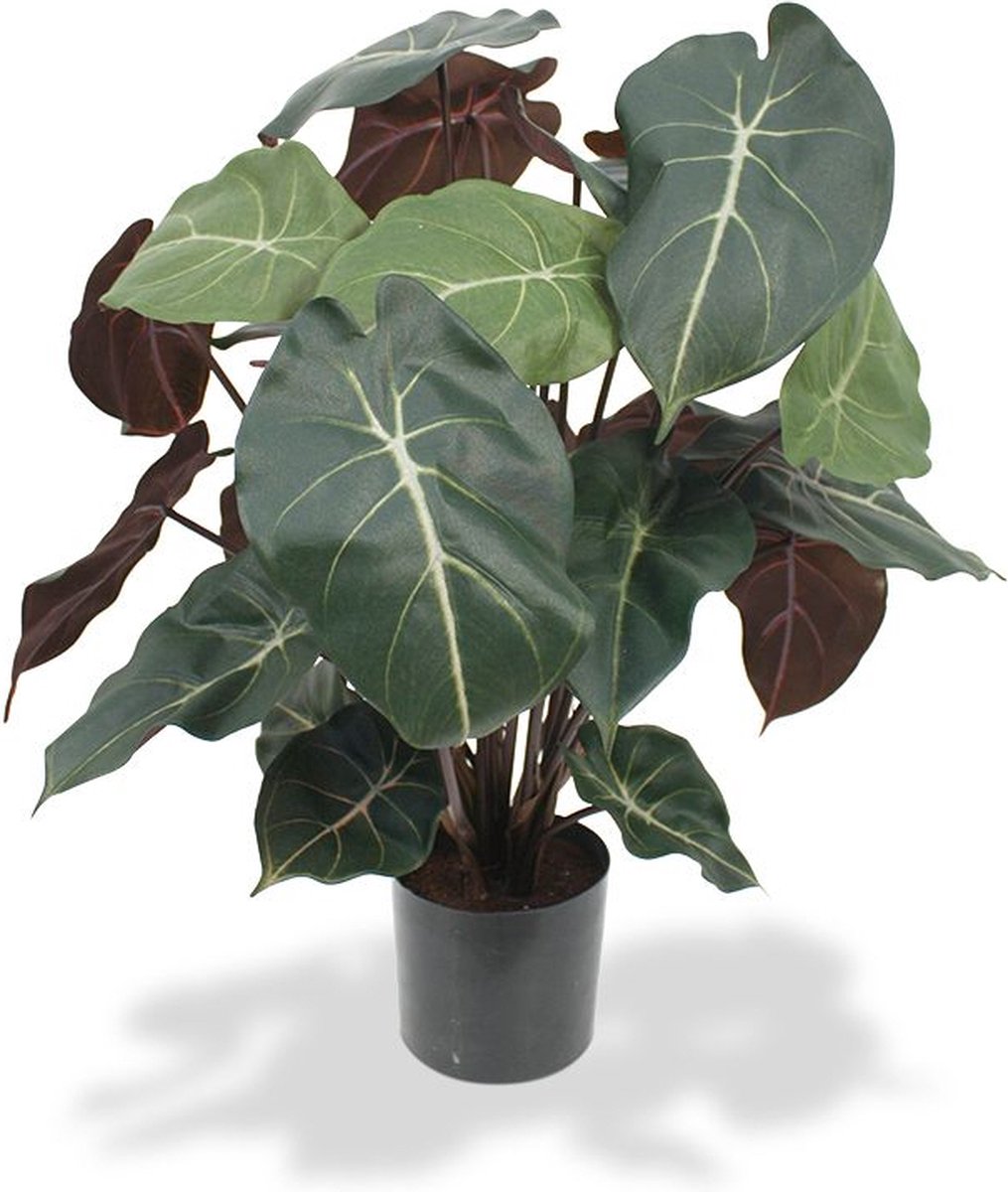 maxifleur Kunstplanten Syngonium kunstplant 60cm Bont