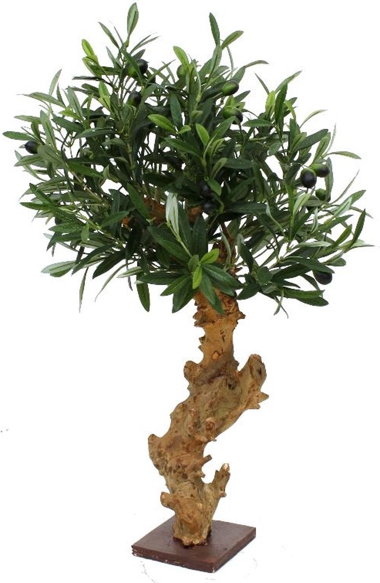maxifleur Kunstplanten Olijf Bonsai deluxe kunstboom op voet 60cm Groen
