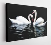 Onlinecanvas - Schilderij - Two Swans. Isolated On Art Horizontal Horizontal - Multicolor - 30 X 40 Cm