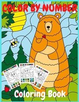 Color by number coloring book