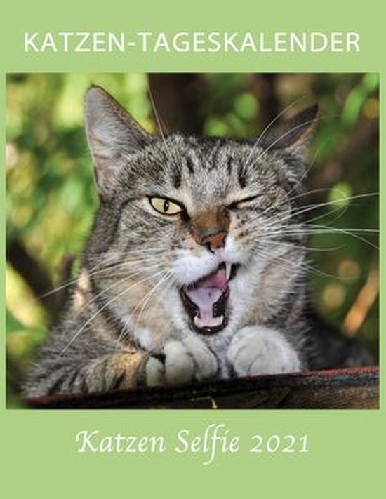 Katzen Tageskalender Katzen Selfie 2021 Kalender 2021