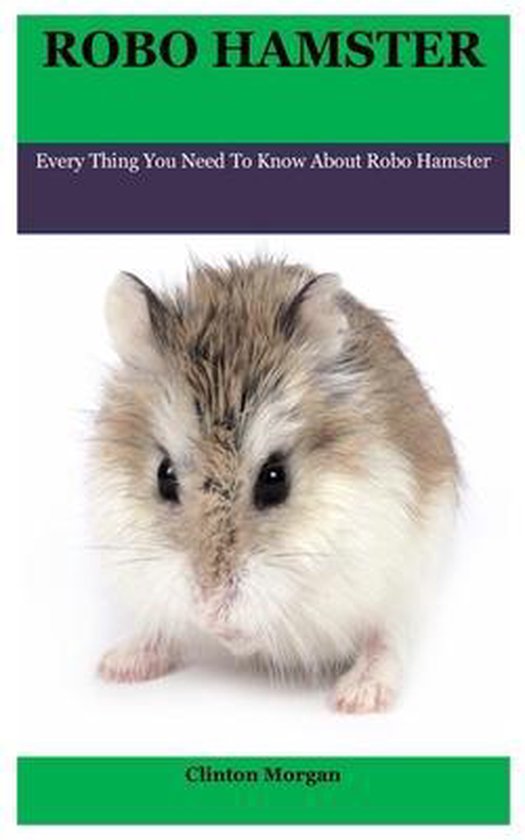 Robo Hamster - cover