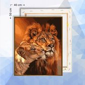 Schilderen op nummer pakket Leeuw en leeuwin - 40 x 50 cm  - met frame