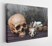 Onlinecanvas - Schilderij - Skull Rock Rot Fruits On Still Life Art Horizontal Horizontal - Multicolor - 40 X 50 Cm