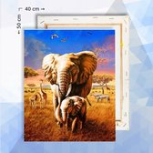 Schilderen op nummer pakket Olifant en giraf 40 x 50 cm  - met frame