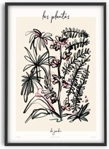Zoe - Les Plantes - Du Jardin - 50x70 cm - Art Poster - PSTR studio